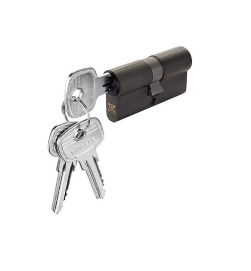 Ruột khóa Hafele 2 đầu chìa màu đen 63mm - 916.08.280