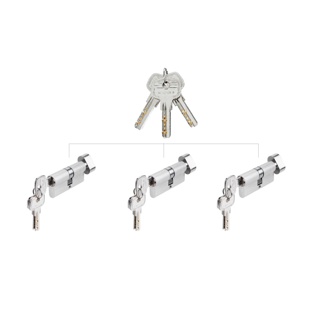 Ruột khóa chìa chủ một cấp Hafele 65mm (1 đầu vặn 1 đầu chìa) - Bộ 3 ruột khóa
